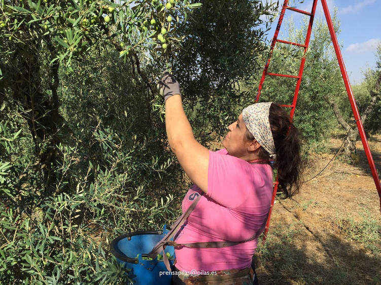 visita finca municipal 2016 04 web